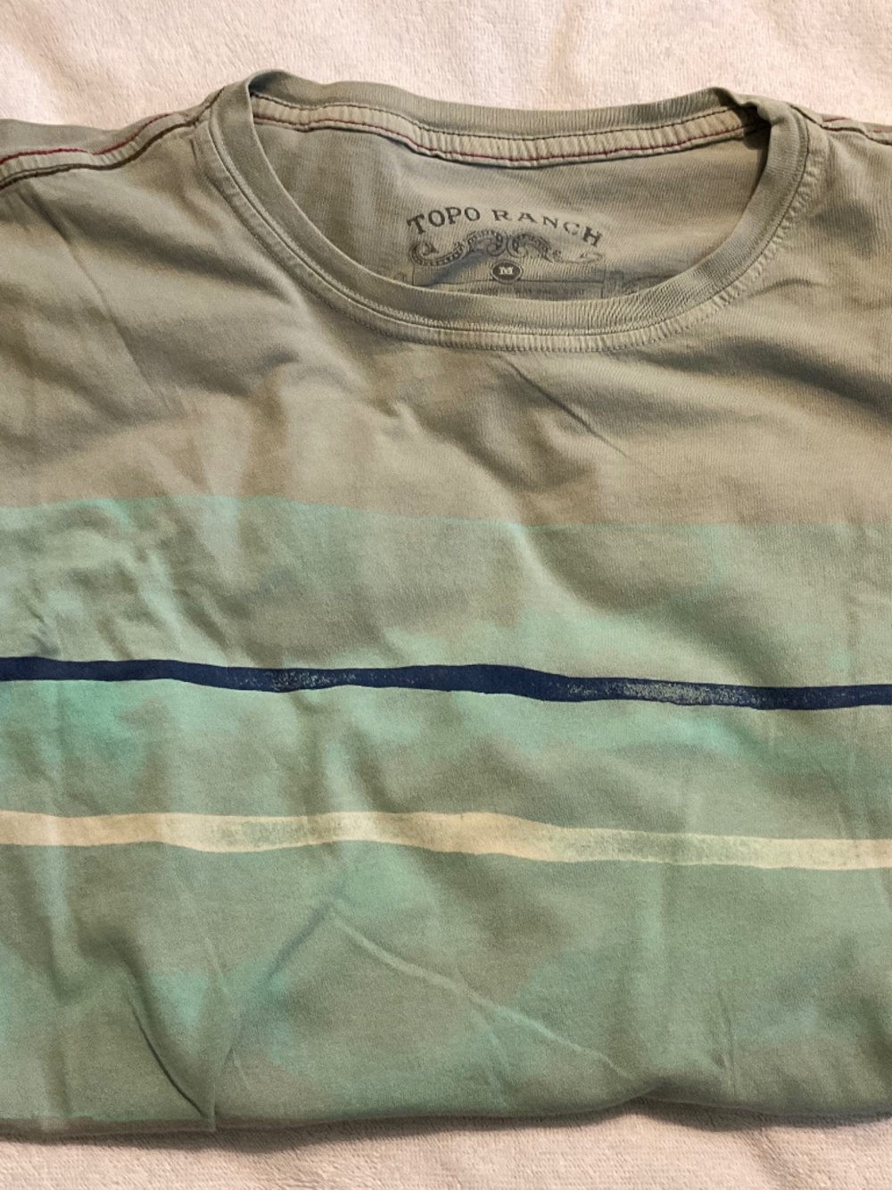 Topo Ranch Medium Graphic Tee Gray